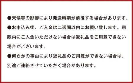 潮風をたっぷり受けた濃厚不知火 15～18玉 （ 約4.5kg ） 【2025年2月下旬～3月上旬迄発送予定】 デコポン みかん 柑橘 果物 フルーツ 熊本