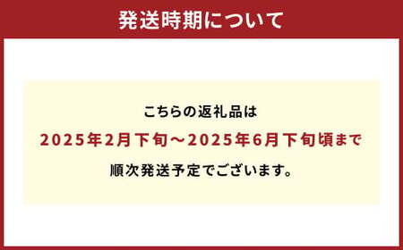 五代目デコ 3kg (10玉～12玉) 不知火 果物 くだもの フルーツ【2025年2月下旬～6月下旬発送】