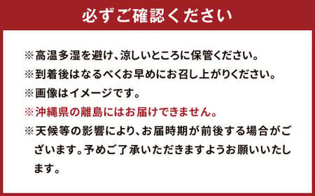 五代目デコ 3kg (10玉～12玉) 不知火 果物 くだもの フルーツ【2025年2月下旬～6月下旬発送】