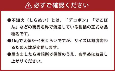 環境マイスターの不知火 良品 2.5kg（栽培期間中は無肥料・低農薬） 果物 くだもの フルーツ 不知火 しらぬい 柑橘 みかん 【2024年12月下旬‐2025年4月下旬迄順次発送予定】