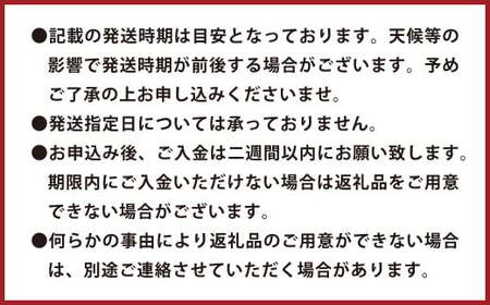 環境マイスターの不知火 良品 2.5kg（栽培期間中は無肥料・低農薬） 果物 くだもの フルーツ 不知火 しらぬい 柑橘 みかん 【2024年12月下旬‐2025年4月下旬迄順次発送予定】