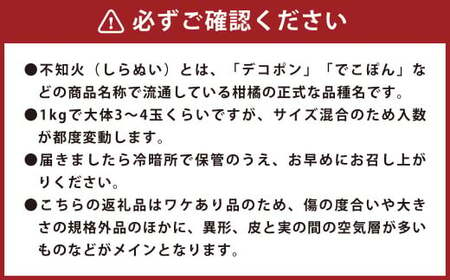 環境マイスターの不知火 訳あり 4kg（栽培期間中は無肥料・低農薬） くだもの 果物 フルーツ 不知火 しらぬい みかん 柑橘 【2025年2月上旬‐5月上旬迄順次発送予定】