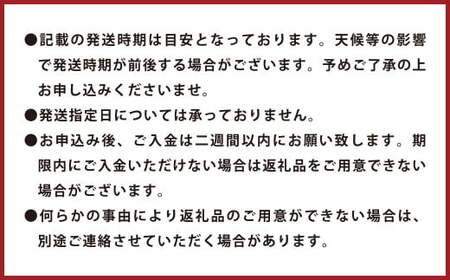 環境マイスターの不知火 訳あり 4kg（栽培期間中は無肥料・低農薬） くだもの 果物 フルーツ 不知火 しらぬい みかん 柑橘 【2025年2月上旬‐5月上旬迄順次発送予定】