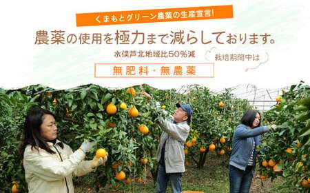 【訳あり】環境マイスターの不知火 20kg （栽培期間中は無肥料・低農薬） 果物 くだもの フルーツ 不知火 しらぬい 柑橘 みかん 【2025年2月上旬‐5月上旬迄順次発送予定】