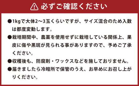 環境マイスターのパール柑 良品・訳あり混合 8kg （栽培期間中は無肥料・無農薬） 果物 くだもの フルーツ パール柑 柑橘 【2025年2月上旬‐4月上旬迄順次発送予定】