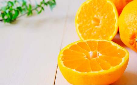 不知火(デコポン同品種)約5kg 果物 フルーツ 国産 熊本県 水俣市 【2026年2月上旬~4月上旬迄発送予定】