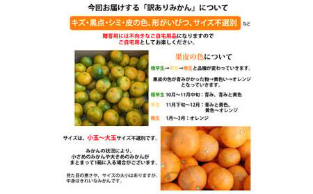 訳あり みかん 約5kg 蜜柑 ミカン 果物 くだもの フルーツ 【2025年10月上旬から2026年2月下旬順次発送予定】