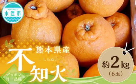  熊本県産 不知火 （デコポン同一品種） 約2kg （6玉）【2026年1月下旬-～2月下旬発送予定】
