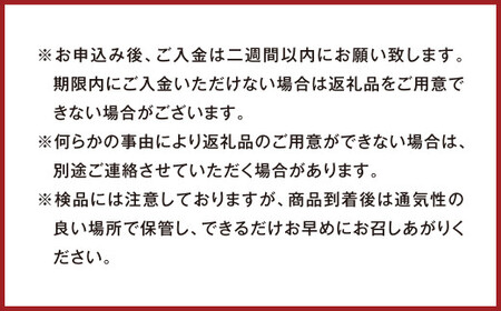  熊本県産 不知火 （デコポン同一品種） 約4kg （12玉）【2026年1月下旬-～2月下旬発送予定】