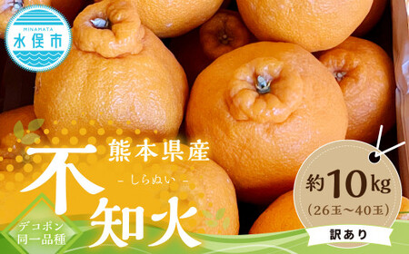 【訳アリ】 熊本県産 不知火 （デコポン同一品種） 約10kg （26玉～40玉）【2026年1月下旬-～2月下旬発送予定】