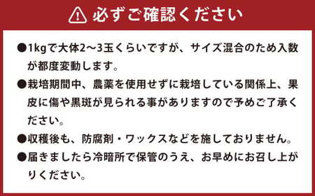 環境マイスターのグレープフルーツ 良品・訳あり混合 4kg （栽培期間中は無肥料・農薬不使用） 【2026年3月下旬～5月下旬迄順次発送予定】
