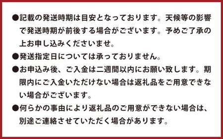 環境マイスターのグレープフルーツ 良品・訳あり混合 4kg （栽培期間中は無肥料・農薬不使用） 【2026年3月下旬～5月下旬迄順次発送予定】