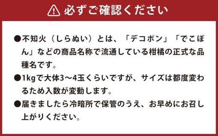 環境マイスターの不知火 良品2.5kg (栽培期間中は無肥料・低農薬) 果物 くだもの フルーツ 不知火 しらぬい 柑橘 みかん 【2026年1月上旬~4月下旬迄順次発送予定】