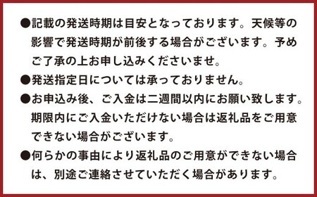 環境マイスターの不知火 良品2.5kg (栽培期間中は無肥料・低農薬) 果物 くだもの フルーツ 不知火 しらぬい 柑橘 みかん 【2026年1月上旬~4月下旬迄順次発送予定】