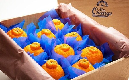 環境マイスターの不知火 良品2.5kg (栽培期間中は無肥料・低農薬) 果物 くだもの フルーツ 不知火 しらぬい 柑橘 みかん 【2026年1月上旬~4月下旬迄順次発送予定】