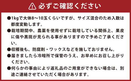 環境マイスターのレモン 3kg （栽培期間中は無肥料・農薬不使用） 【2025年11月上旬～2026年4月下旬迄順次発送予定】
