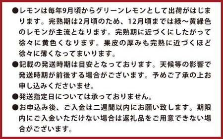 環境マイスターのレモン 3kg （栽培期間中は無肥料・農薬不使用） 【2025年11月上旬～2026年4月下旬迄順次発送予定】