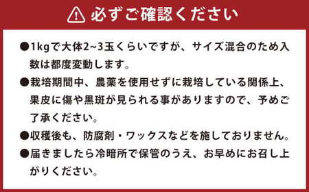 環境マイスターのパール柑 良品・訳あり混合 4kg （栽培期間中は無肥料・農薬不使用） 【2026年2月上旬～4月上旬迄順次発送予定】