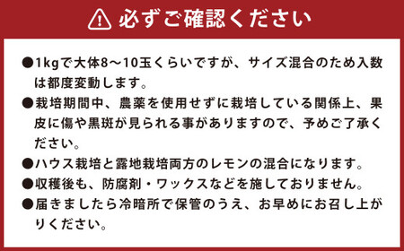 環境マイスターのレモン 訳あり3kg （栽培期間中は無肥料・農薬不使用） 【2025年12月上旬～2026年4月下旬迄順次発送予定】