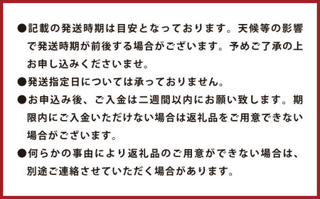環境マイスターのレモン 訳あり3kg （栽培期間中は無肥料・農薬不使用） 【2025年12月上旬～2026年4月下旬迄順次発送予定】