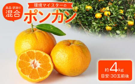 環境マイスターのポンカン 良品・訳あり混合 4kg (栽培期間中は無肥料・農薬不使用) 果物 くだもの フルーツ ぽんかん 柑橘 みかん 【2026年1月下旬~3月上旬迄順次発送予定】