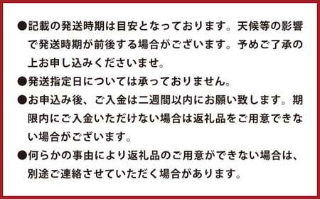 環境マイスターのポンカン 良品・訳あり混合 4kg (栽培期間中は無肥料・農薬不使用) 果物 くだもの フルーツ ぽんかん 柑橘 みかん 【2026年1月下旬~3月上旬迄順次発送予定】