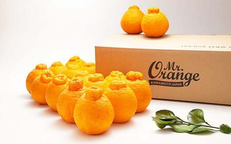 環境マイスターの不知火 良品 5kg （栽培期間中は無肥料・低農薬） 果物 くだもの フルーツ 不知火 しらぬい 柑橘 みかん 【2026年1月上旬～4月下旬迄順次発送予定】