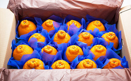 環境マイスターの不知火 良品 5kg （栽培期間中は無肥料・低農薬） 果物 くだもの フルーツ 不知火 しらぬい 柑橘 みかん 【2026年1月上旬～4月下旬迄順次発送予定】