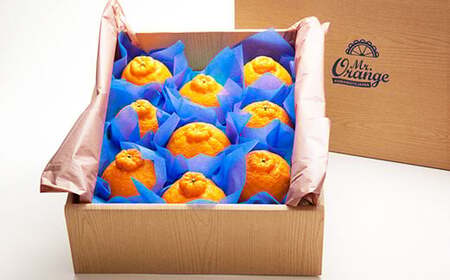 環境マイスターの不知火 良品 10kg （栽培期間中は無肥料・低農薬） 果物 くだもの フルーツ 不知火 しらぬい 柑橘 みかん 【2026年1月上旬～4月下旬迄順次発送予定】