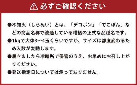 環境マイスターの不知火 良品 10kg （栽培期間中は無肥料・低農薬） 果物 くだもの フルーツ 不知火 しらぬい 柑橘 みかん 【2026年1月上旬～4月下旬迄順次発送予定】