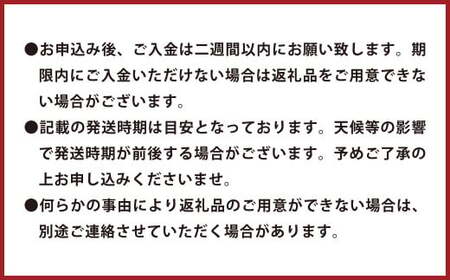 環境マイスターの不知火 良品 10kg （栽培期間中は無肥料・低農薬） 果物 くだもの フルーツ 不知火 しらぬい 柑橘 みかん 【2026年1月上旬～4月下旬迄順次発送予定】