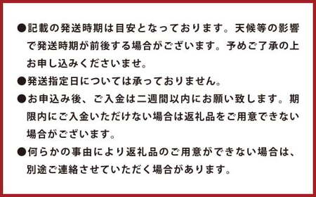 【訳あり】環境マイスターの不知火 10kg (栽培期間中は無肥料・低農薬) 果物 くだもの フルーツ 不知火 しらぬい 柑橘 みかん 【2026年2月上旬~5月上旬迄順次発送予定】
