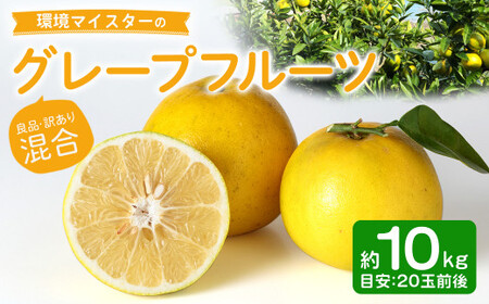 環境マイスターのグレープフルーツ 良品・訳あり混合 10kg (栽培期間中は無肥料・農薬不使用) 果物 くだもの フルーツ グレープフルーツ 柑橘 【2026年3月下旬~5月下旬迄順次発送予定】