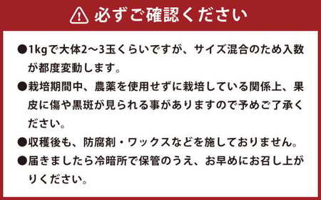 環境マイスターのグレープフルーツ 良品・訳あり混合 20kg (栽培期間中は無肥料・農薬不使用) 果物 くだもの フルーツ グレープフルーツ 柑橘 【2026年3月下旬~5月下旬迄順次発送予定】