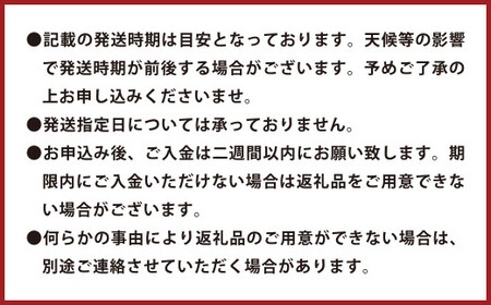 環境マイスターのグレープフルーツ 良品・訳あり混合 20kg (栽培期間中は無肥料・農薬不使用) 果物 くだもの フルーツ グレープフルーツ 柑橘 【2026年3月下旬~5月下旬迄順次発送予定】