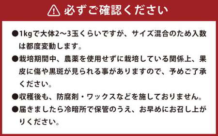 環境マイスターのパール柑 良品・訳あり混合 8kg （栽培期間中は無肥料・農薬不使用） 果物 くだもの フルーツ パール柑 柑橘 【2026年2月上旬～4月上旬迄順次発送予定】