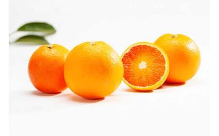 環境マイスターのブラッドオレンジ 良品・訳あり混合 3kg 【2026年2月上旬~3月上旬迄順次発送予定】 オレンジ くだもの 果物 フルーツ ブラッドオレンジ