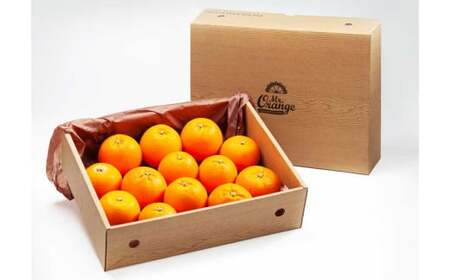 環境マイスターのブラッドオレンジ 良品・訳あり混合 3kg 【2026年2月上旬~3月上旬迄順次発送予定】 オレンジ くだもの 果物 フルーツ ブラッドオレンジ