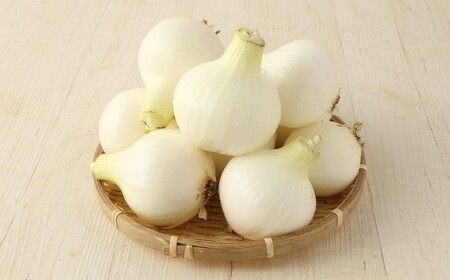 【 3回 定期便 】【2026年2月上旬より順次発送開始】【シーズン期間に3回お届け（発送時期：2026年2月・3月・4月）】＜栽培期間中農薬不使用 熊本県 水俣市産 ／ 耕人舎＞1年に1度だけ！甘くて柔らかい！ 早採り サラダ玉ねぎ （ 優品 ・サイズ混合）　※2月は葉付きの玉ねぎ2kgを、3月及び4月は玉ねぎを5kgずつお届けします。 計約12kg 玉葱 野菜 タマネギ サラダ