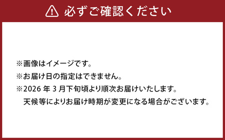 熊本産 おにつか農園 こだわり 不知火 贈答用 約5kg デコポン【2026年3月下旬中順次発送開始予定】