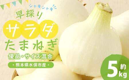 1年に1度だけ!甘くて柔らかい!早採りサラダ玉ねぎ 約5kg 優品 サイズ混合 玉ねぎ タマネギ 玉葱 サラたま 春 新たまねぎ 国産 熊本県 水俣市産 <栽培期間中農薬不使用/熊本県水俣市産/耕人舎>【2026年3月下旬-4月下旬順次発送予定】