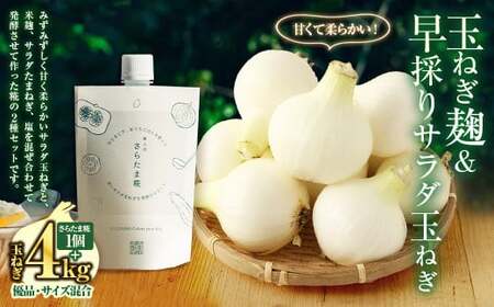 玉ねぎ麹＆1年に1度だけ!甘くて柔らかい!早採りサラダ玉ねぎ 4kg 優品 サイズ混合 ＜栽培期間中農薬不使用／熊本県水俣市産／耕人舎＞さらたま タマネギ 玉葱 野菜 米麹 調味料 セット 熊本県 水俣市産 耕人舎 【2026年3月下旬-4月下旬発送予定】