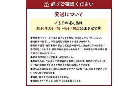 玉ねぎ麹＆1年に1度だけ!甘くて柔らかい!早採りサラダ玉ねぎ 4kg 優品 サイズ混合 ＜栽培期間中農薬不使用／熊本県水俣市産／耕人舎＞さらたま タマネギ 玉葱 野菜 米麹 調味料 セット 熊本県 水俣市産 耕人舎 【2026年3月下旬-4月下旬発送予定】