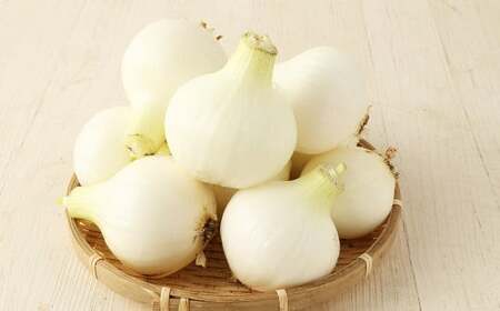 玉ねぎ麹＆1年に1度だけ!甘くて柔らかい!早採りサラダ玉ねぎ 4kg 優品 サイズ混合 ＜栽培期間中農薬不使用／熊本県水俣市産／耕人舎＞さらたま タマネギ 玉葱 野菜 米麹 調味料 セット 熊本県 水俣市産 耕人舎 【2026年3月下旬-4月下旬発送予定】