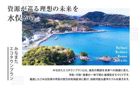 みなまたエコタウンペーパー 60個入 60ロール トイレットペーパー トイレ ペーパー 100m シングル 個包装