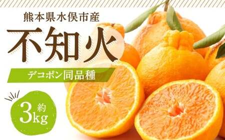 不知火(デコポン同品種)6~13玉 約3㎏ 【2026年2月上旬~4月上旬迄発送予定】 みかん 不知火 フルーツ 果物 詰合せ 贈答品 常温 熊本県 水俣市