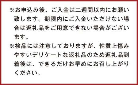 不知火(デコポン同品種)6~13玉 約3㎏ 【2026年2月上旬~4月上旬迄発送予定】 みかん 不知火 フルーツ 果物 詰合せ 贈答品 常温 熊本県 水俣市