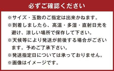 不知火(デコポン同品種)18~37玉 約8㎏ 【2026年2月上旬~4月上旬迄発送予定】 みかん 不知火 フルーツ 果物 詰合せ 贈答品 常温 熊本県 水俣市