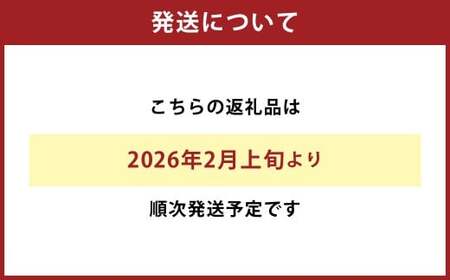 不知火(デコポン同品種)18~37玉 約8㎏ 【2026年2月上旬~4月上旬迄発送予定】 みかん 不知火 フルーツ 果物 詰合せ 贈答品 常温 熊本県 水俣市