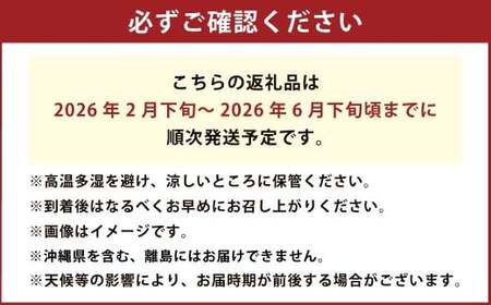 五代目デコ 3kg (10玉～12玉) 不知火 果物 くだもの フルーツ【2026年2月下旬～6月下旬発送】